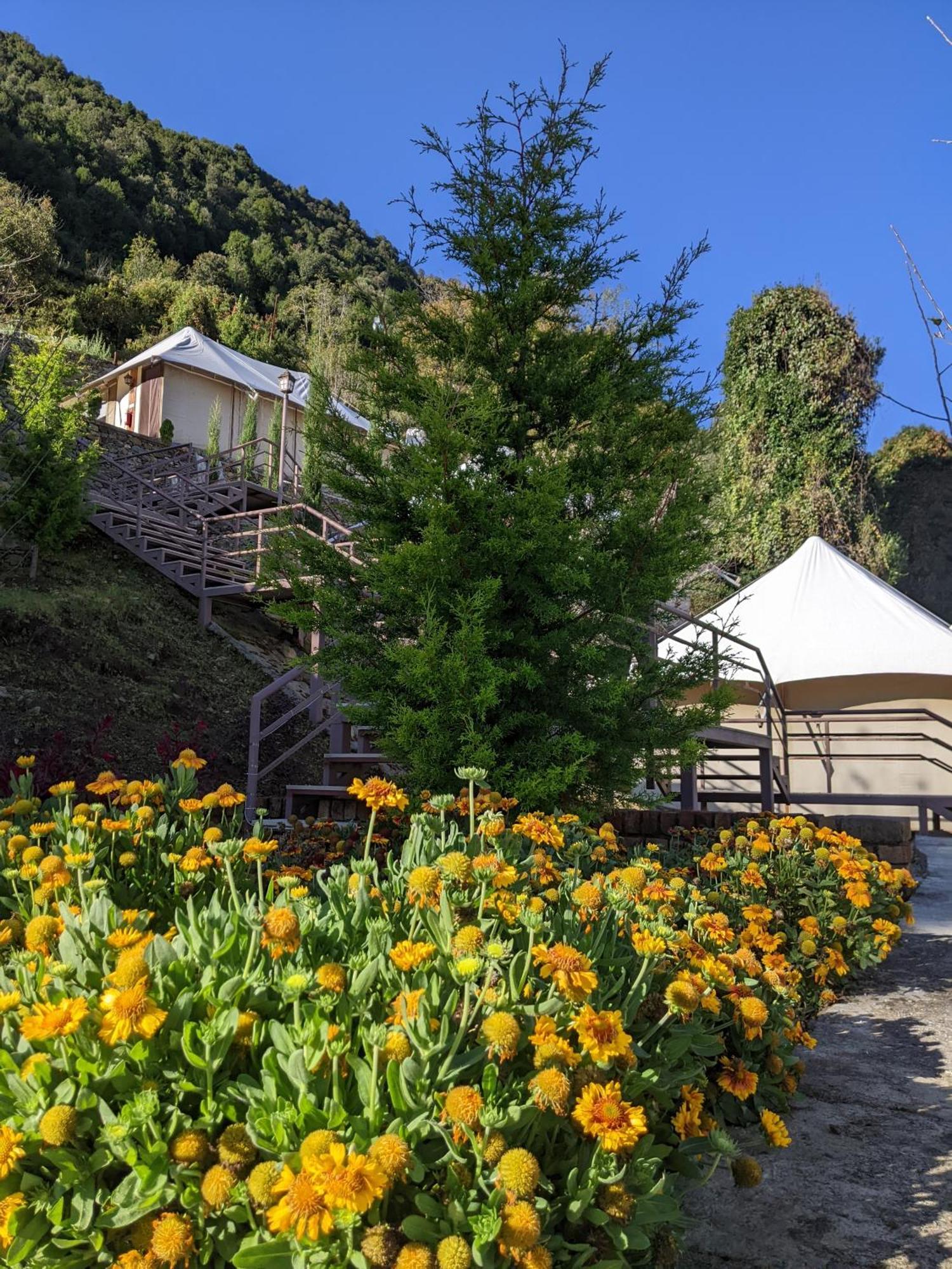 Hotel The Bugyal Kanatal Exterior foto